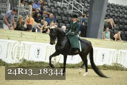 24R13_18344 thumbnail