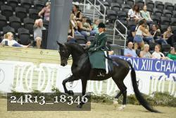 24R13_18346 thumbnail