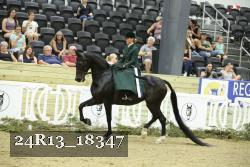 24R13_18347 thumbnail