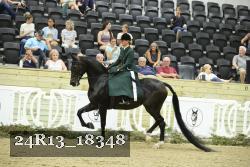 24R13_18348 thumbnail