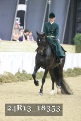 24R13_18353 thumbnail