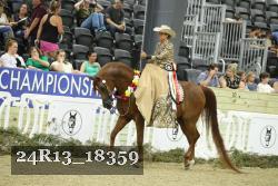 24R13_18359 thumbnail