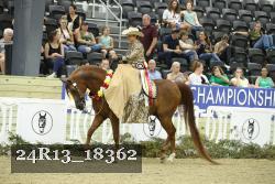 24R13_18362 thumbnail