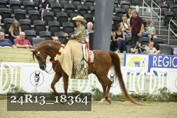 24R13_18364 thumbnail