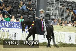 24R13_18366 thumbnail
