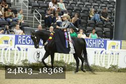 24R13_18368 thumbnail