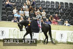 24R13_18371 thumbnail