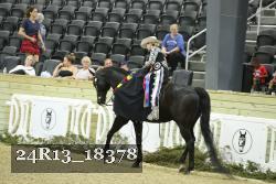 24R13_18378 thumbnail