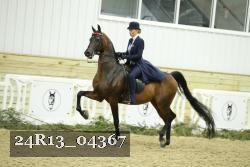 24R13_04367 thumbnail
