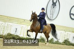 24R13_04369 thumbnail