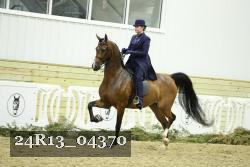 24R13_04370 thumbnail