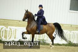 24R13_04371 thumbnail