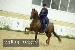 24R13_04372 thumbnail