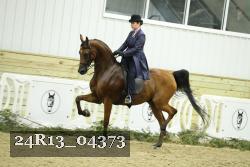 24R13_04373 thumbnail