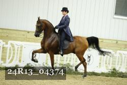 24R13_04374 thumbnail