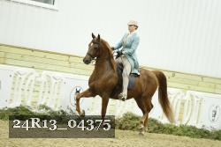 24R13_04375 thumbnail