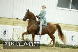 24R13_04377 thumbnail