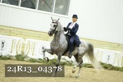 24R13_04378 thumbnail