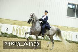 24R13_04379 thumbnail