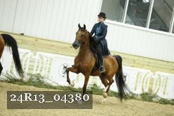 24R13_04380 thumbnail