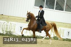 24R13_04381 thumbnail