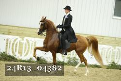 24R13_04382 thumbnail