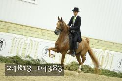 24R13_04383 thumbnail