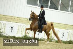 24R13_04384 thumbnail