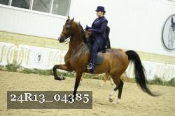 24R13_04385 thumbnail