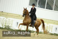 24R13_04386 thumbnail