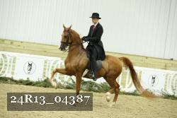 24R13_04387 thumbnail