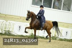 24R13_04390 thumbnail