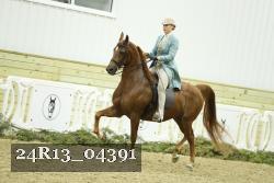 24R13_04391 thumbnail