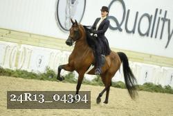 24R13_04394 thumbnail