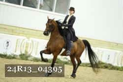 24R13_04395 thumbnail