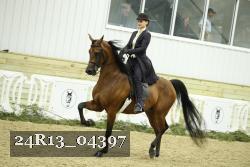 24R13_04397 thumbnail