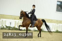 24R13_04398 thumbnail