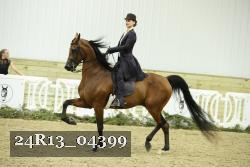 24R13_04399 thumbnail