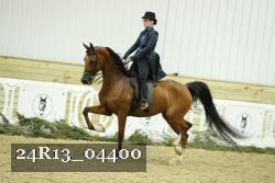 24R13_04400 thumbnail