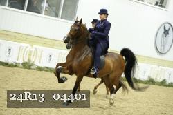 24R13_04401 thumbnail