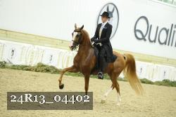 24R13_04402 thumbnail