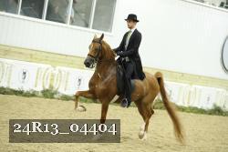 24R13_04404 thumbnail
