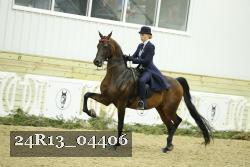 24R13_04406 thumbnail
