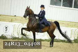 24R13_04408 thumbnail
