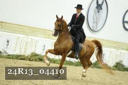24R13_04410 thumbnail