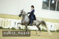 24R13_04412 thumbnail