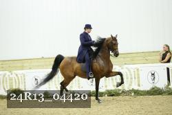 24R13_04420 thumbnail