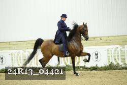 24R13_04421 thumbnail