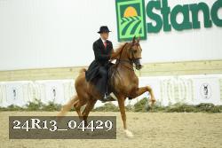 24R13_04429 thumbnail