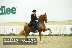 24R13_04431 thumbnail